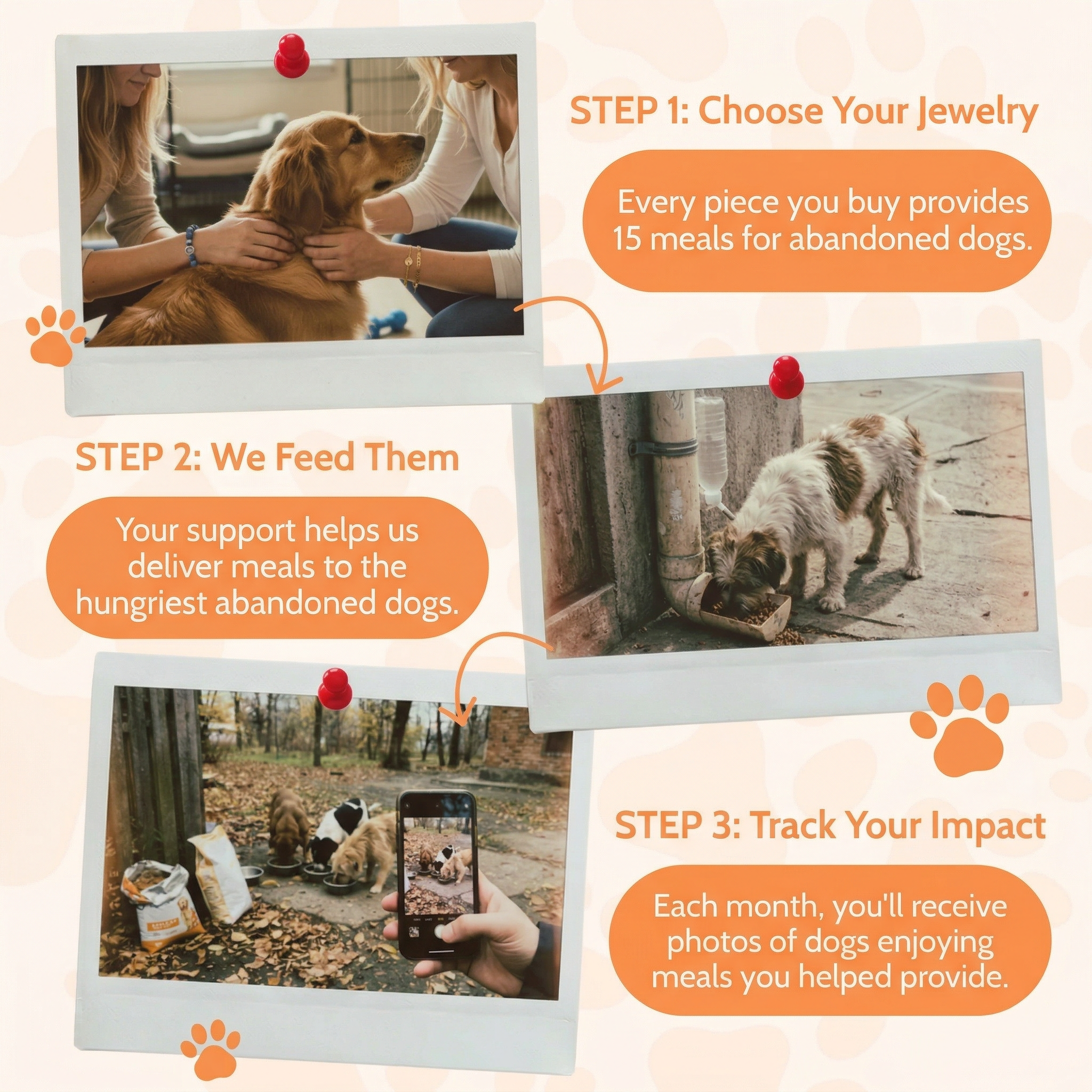 Free Bone Paw Bracelet